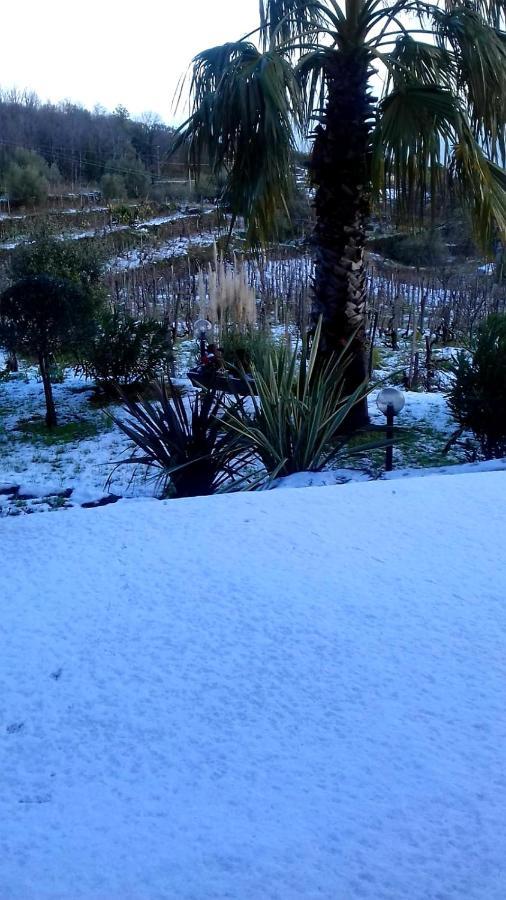 Villa Etna Masi' Milo Bagian luar foto