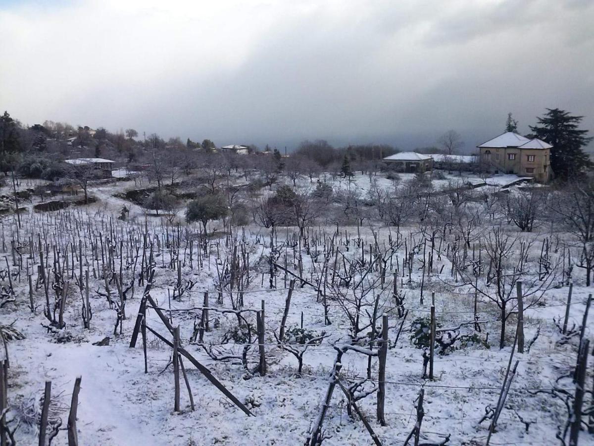 Villa Etna Masi' Milo Bagian luar foto