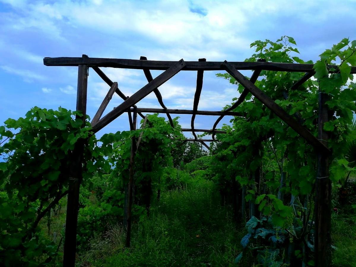 Villa Etna Masi' Milo Bagian luar foto