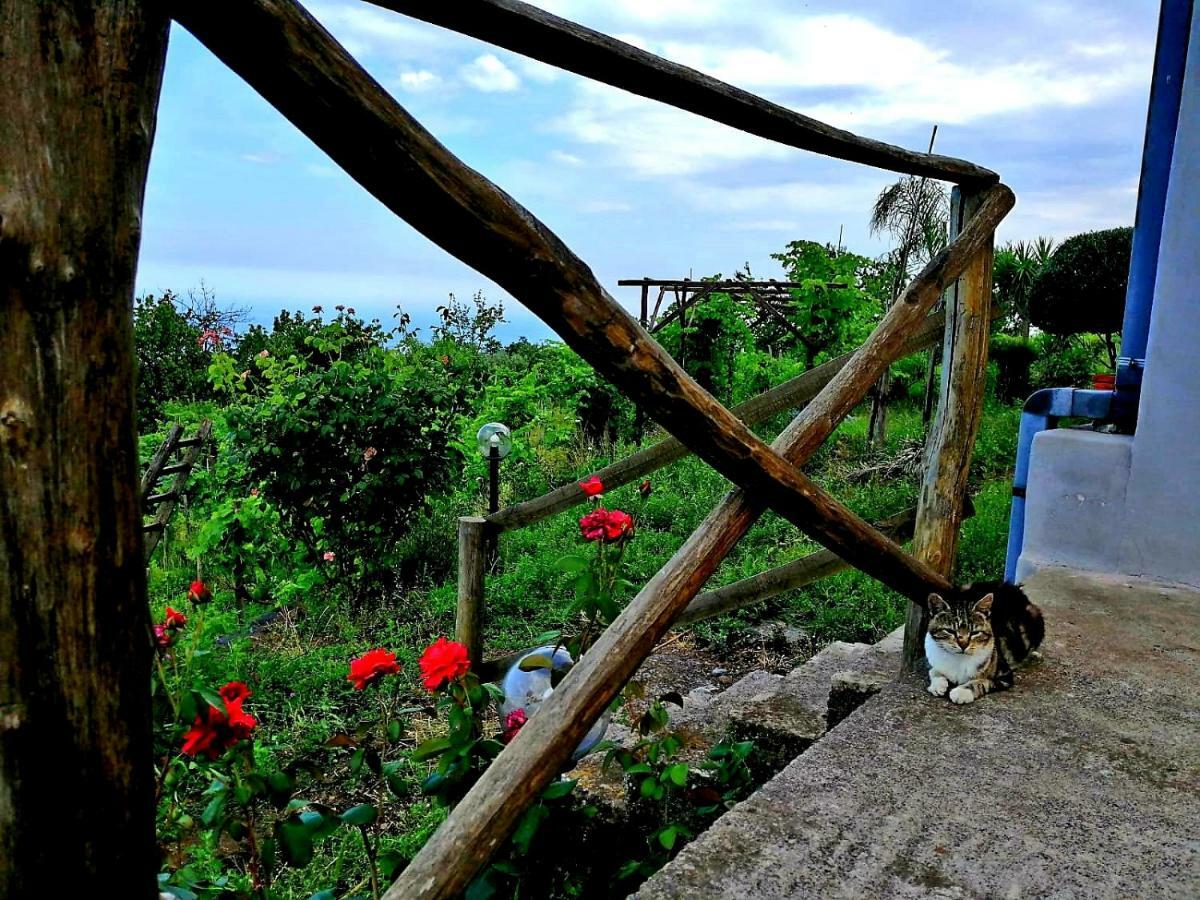 Villa Etna Masi' Milo Bagian luar foto